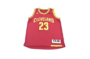 Adidas Logo Cleveland Cavaliers LeBron James Jersey