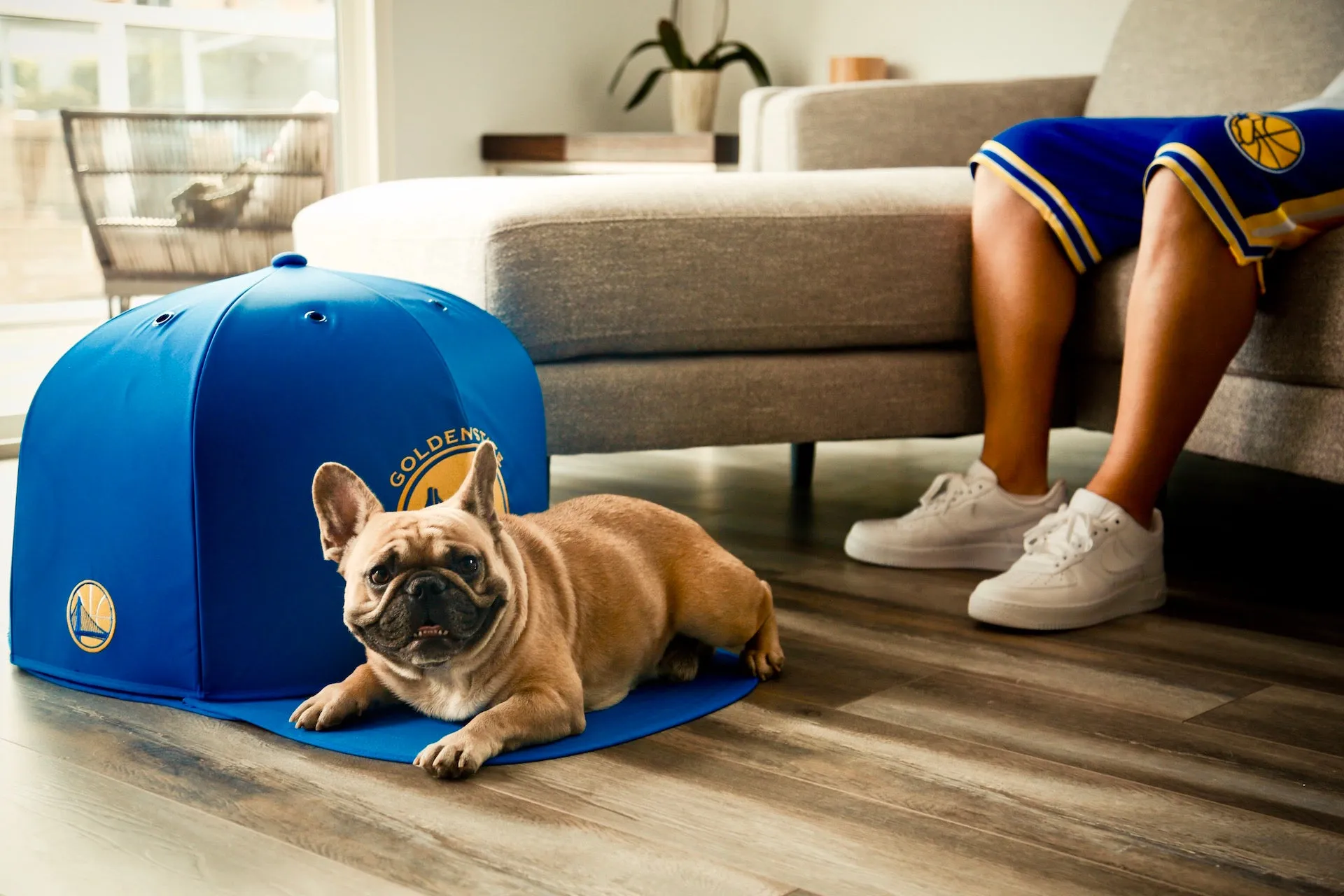 GOLDEN STATE WARRIORS NAP CAP PREMIUM DOG BED